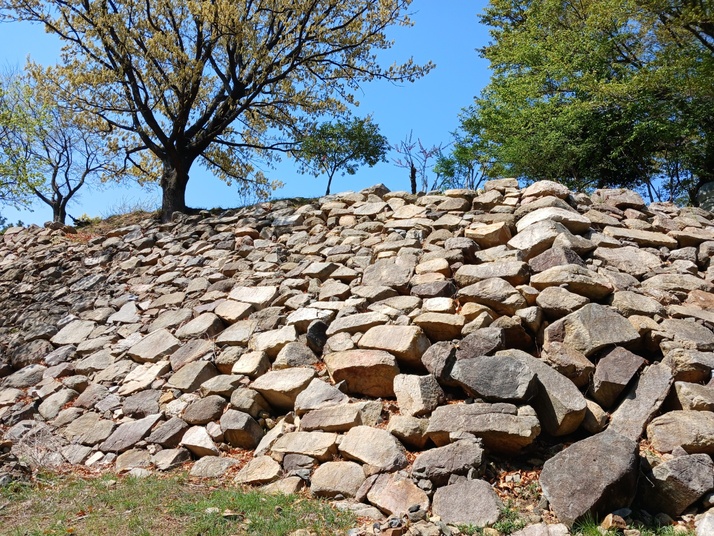 KakaoTalk_20250413_142416497