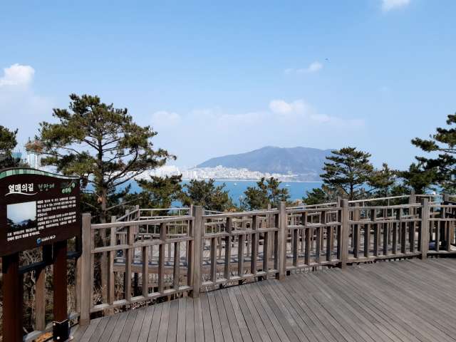 수정됨_KakaoTalk_20210314_172325338