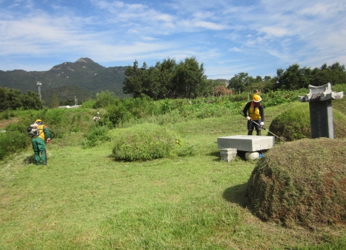 34_3_벌초대행_산림조합