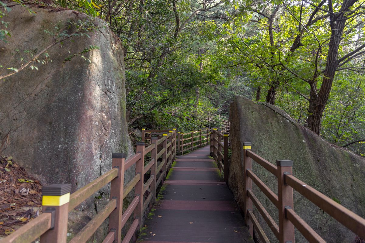 구포무장애숲길