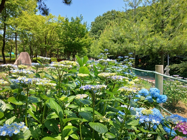 KakaoTalk_20250615_154237985