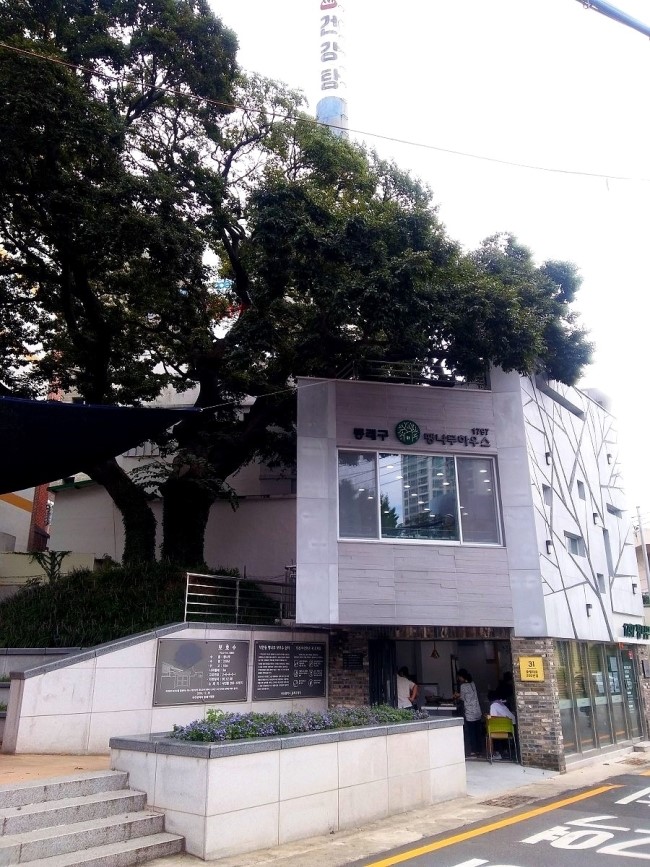 1797팽나무 하우스 전경 사진