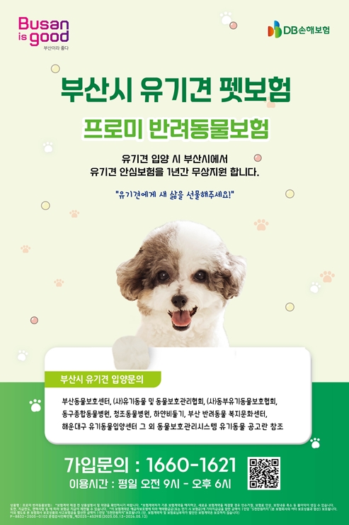 28-2 펫보험