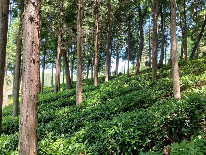 KakaoTalk_20240517_164438855