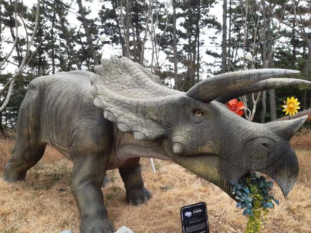 수정됨_KakaoTalk_20220312_155530843