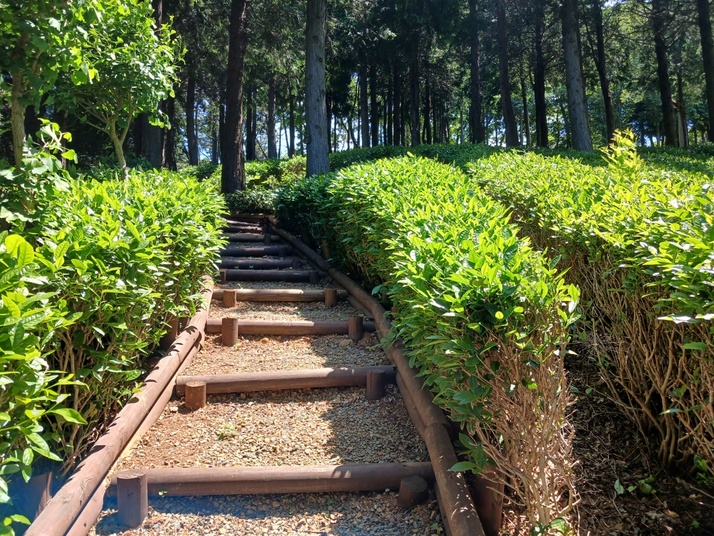 KakaoTalk_20240517_164436305