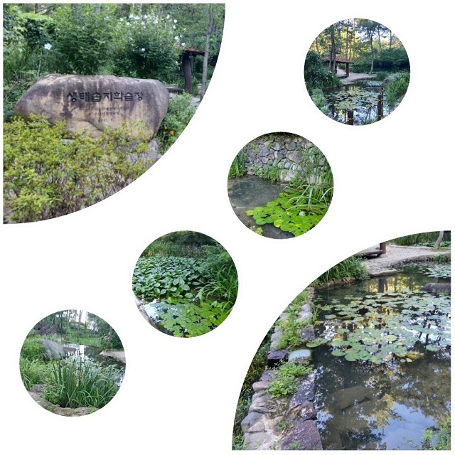 생태습지학습장