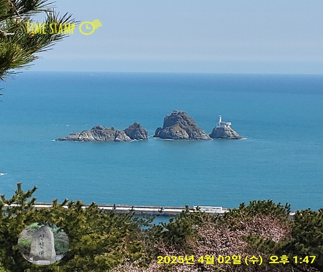 신선대와 오륙도