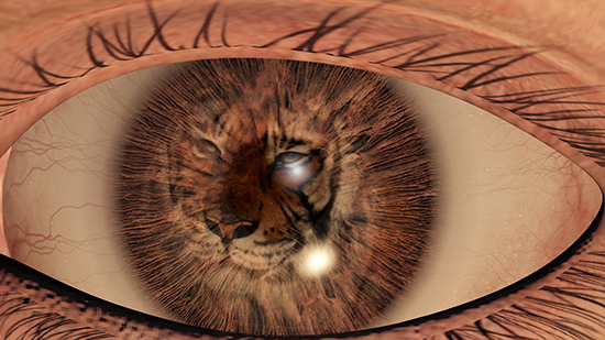 8_호-추-니엔_2-or-3-Tigers,Synchronized-double-channel-HD-(CGI)-projection,-12-channel-sound,-18-min-46-sec_2