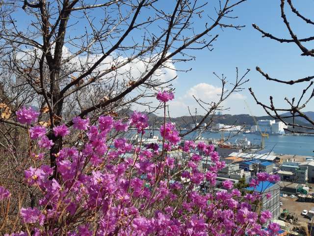 수정됨_KakaoTalk_20220402_192717516