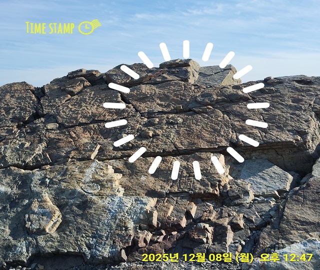 보행렬 공룡발자국