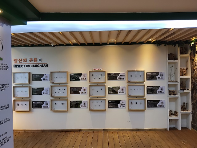 장산의 곤충
