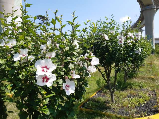 수정됨_KakaoTalk_20230617_114009094