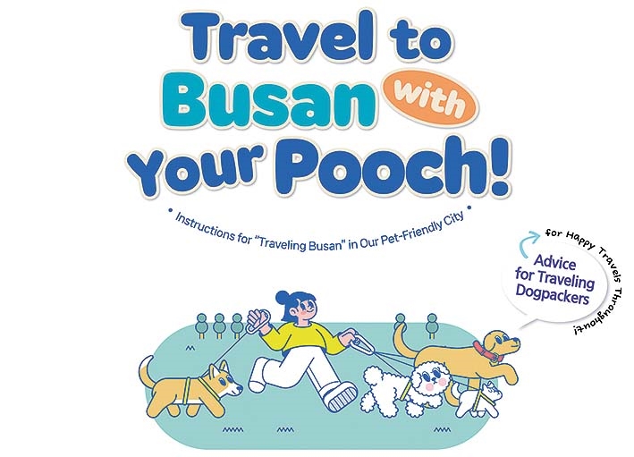 All dogs go to Busan