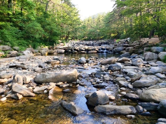 KakaoTalk_20220612_091258711_10