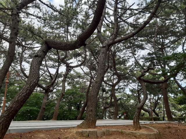 수정됨_KakaoTalk_20210523_174810903