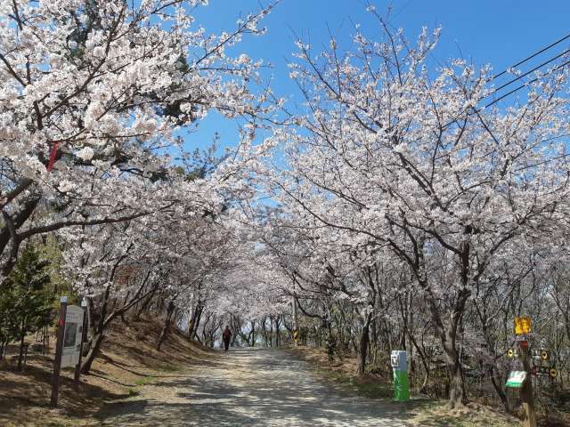 수정됨_KakaoTalk_20220402_192718638