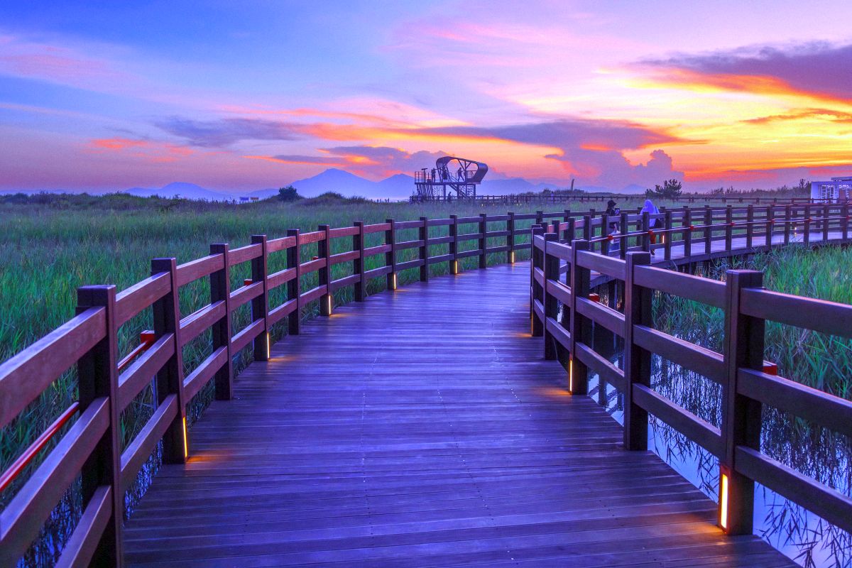 고우니생태길1 복사