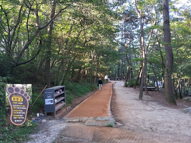 황톳길0