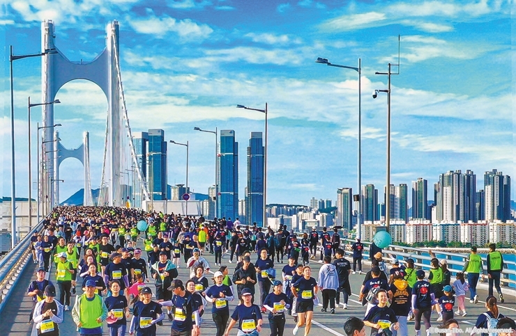 6-1cw27 부산일보