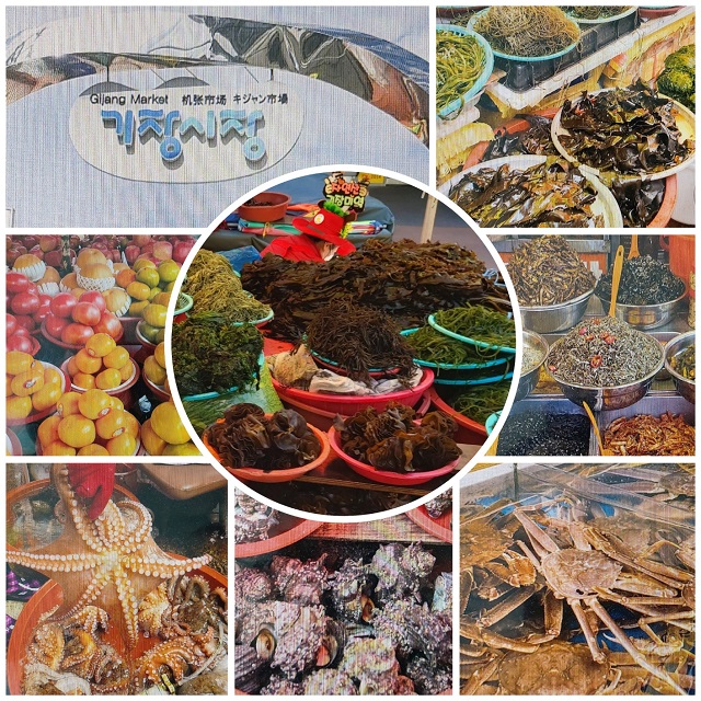 기장시장 모든것~