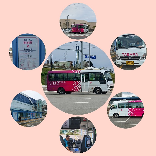 타바라 이모저모0