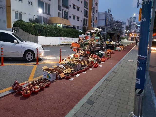 새벽번개장터