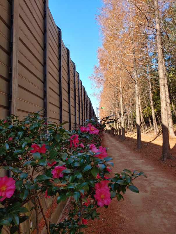 batch_20201130_142905_HDR