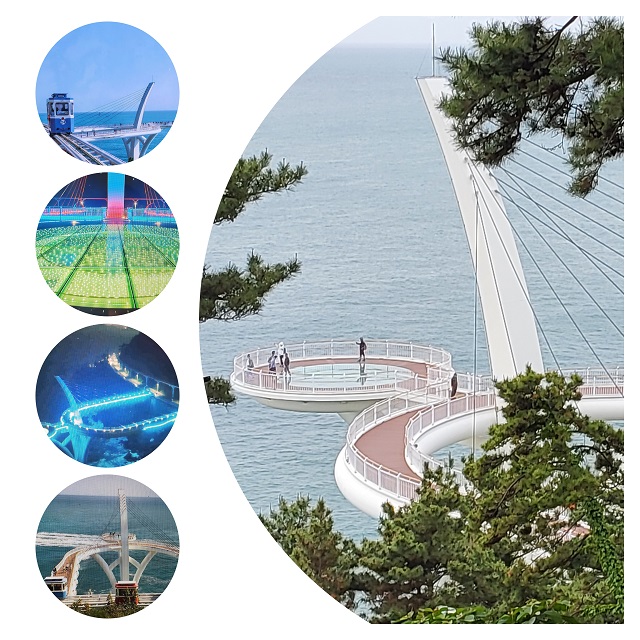 총괄0