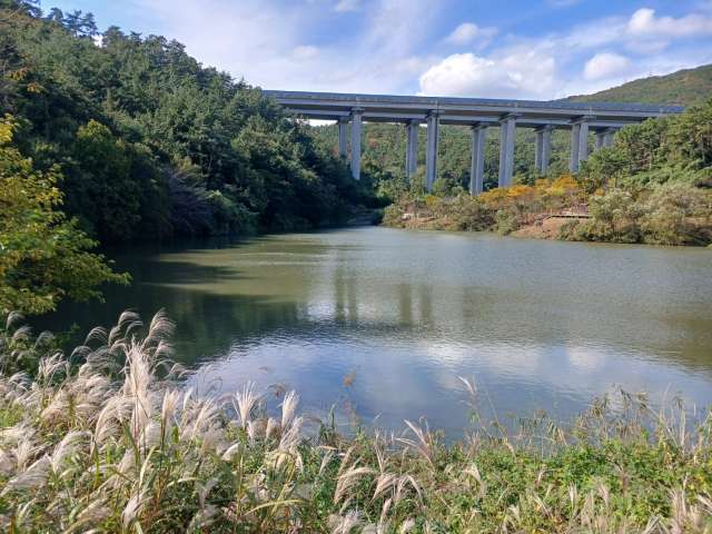 수정됨_KakaoTalk_20241025_170347902