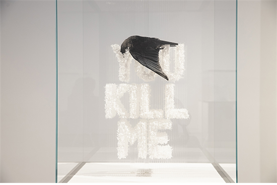 네가 나를 죽였어 You Kill Me, 2017