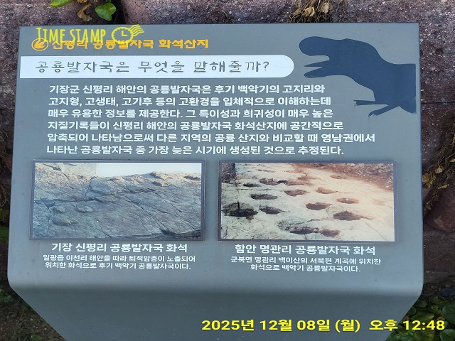 공룡발자국4