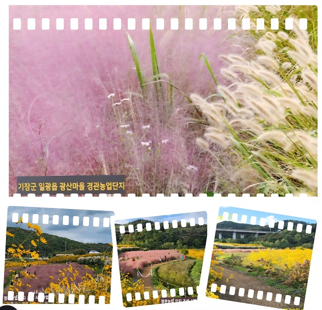 풍경모음00