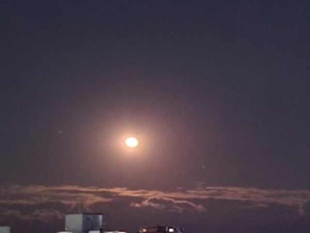 저녁달2
