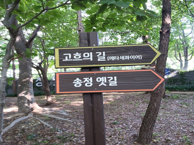 고흐의길