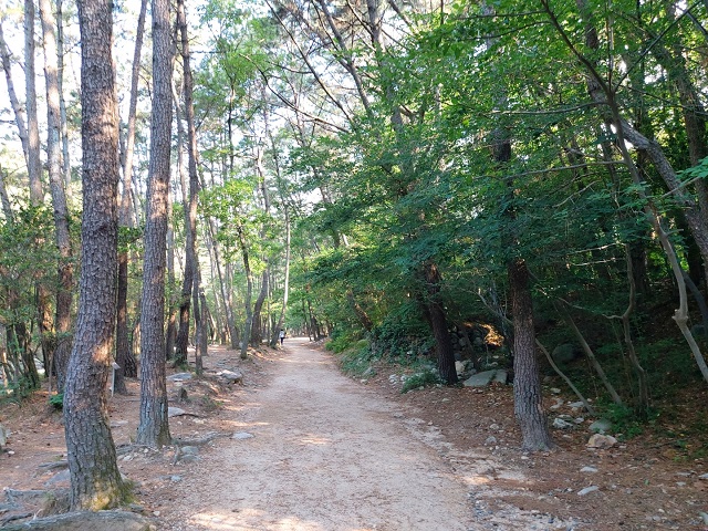 KakaoTalk_20220612_091258711_09