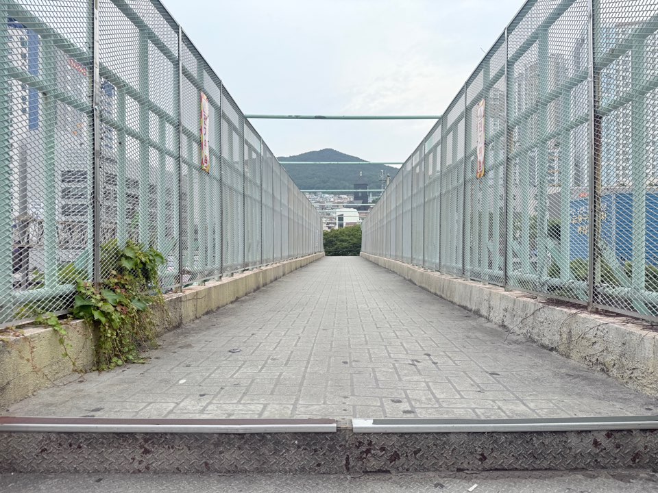 KakaoTalk_20250708_195159702_01