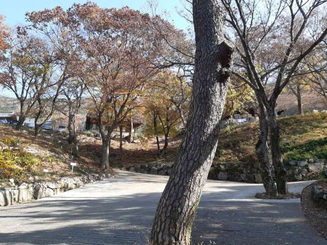 수정됨_KakaoTalk_20221126_154047645