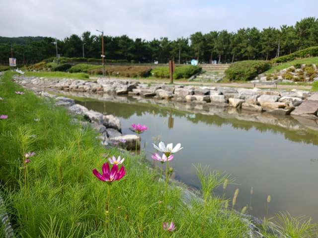 수정됨_KakaoTalk_20240720_092758176