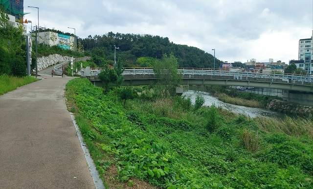 송정3호교 산책로