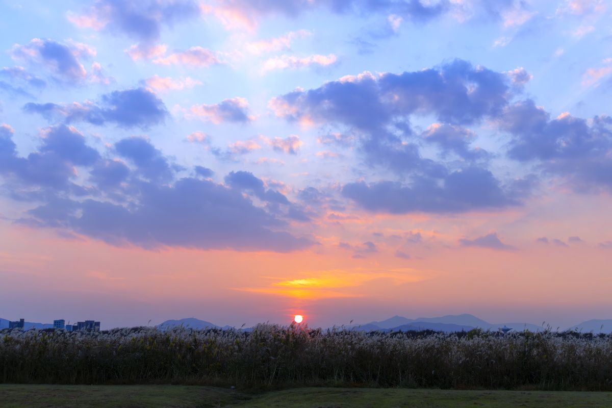 삼락생태공원일몰4