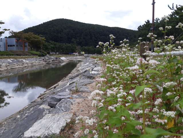 수정됨_KakaoTalk_20231008_165711735