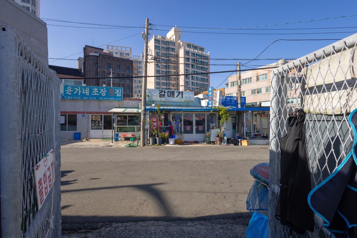 다대활어재래시장4