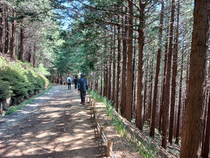 KakaoTalk_20250504_145258934