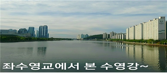 좌,우 산책로 및 나루공원 전경