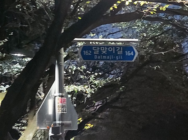 달맞이길 표지