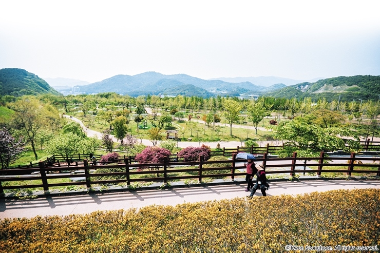 4-1_cw36j_해운대수목원 전경_권성훈