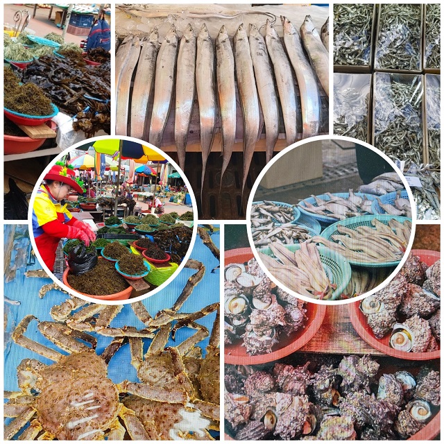 기장시장 모든것000