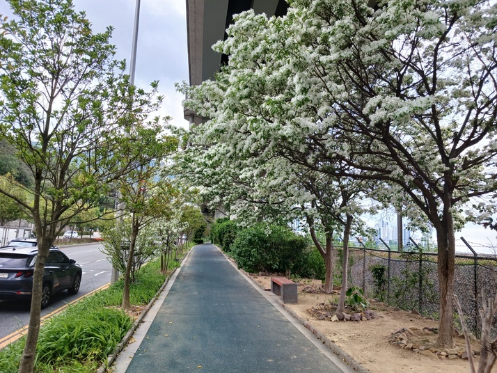 KakaoTalk_20250501_154551894