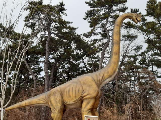 수정됨_KakaoTalk_20220312_155531384